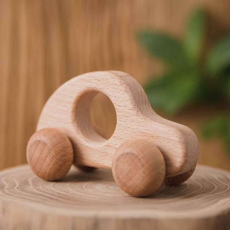 Wooden Push Car for Kids