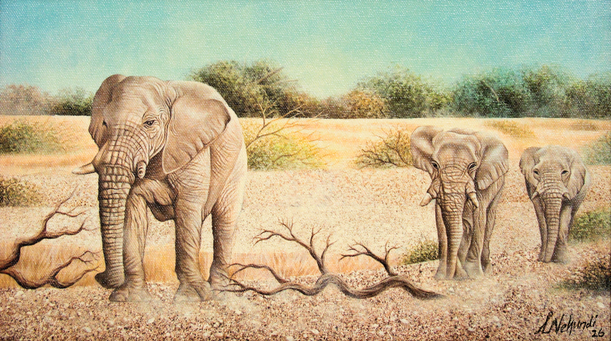 Bush Elephants
