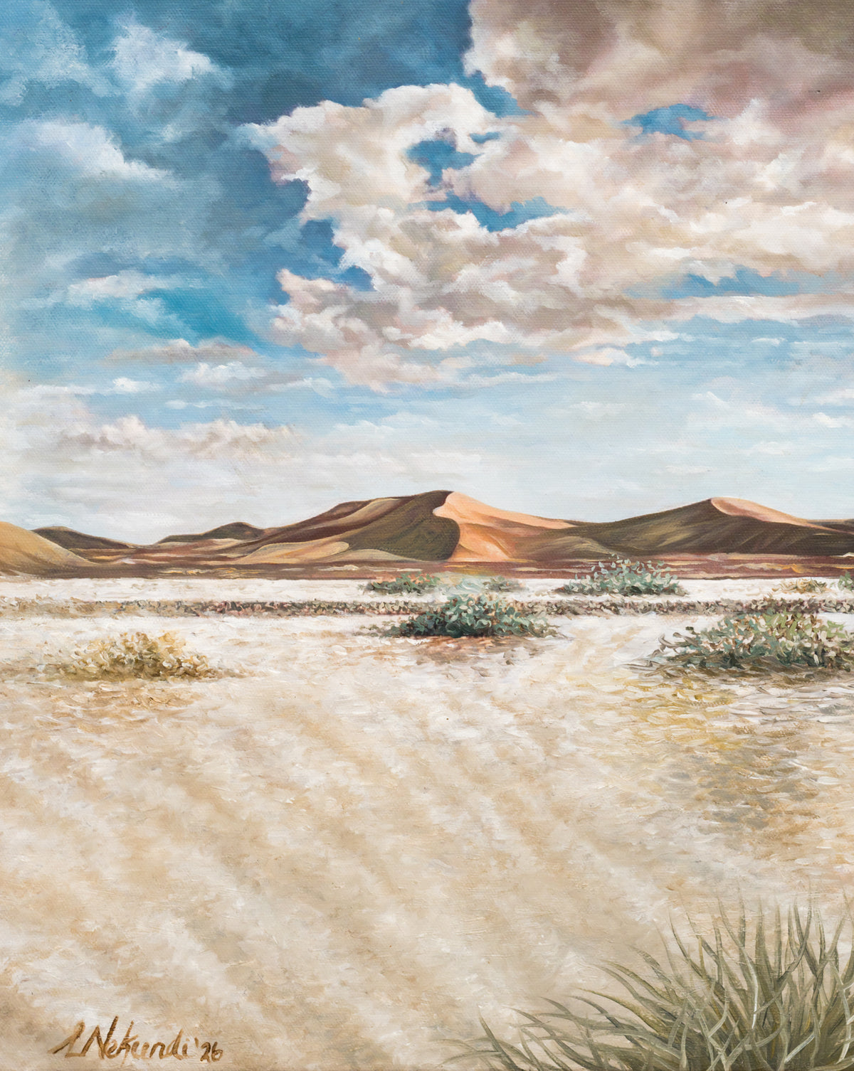 Cloudy Landscape