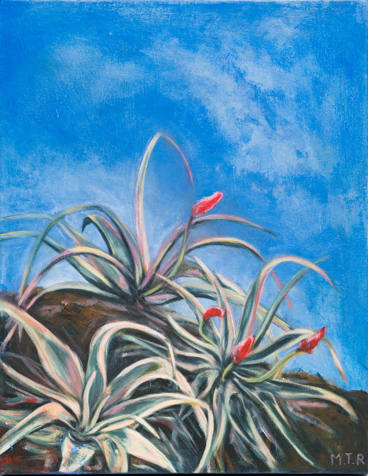 Palmietvlei