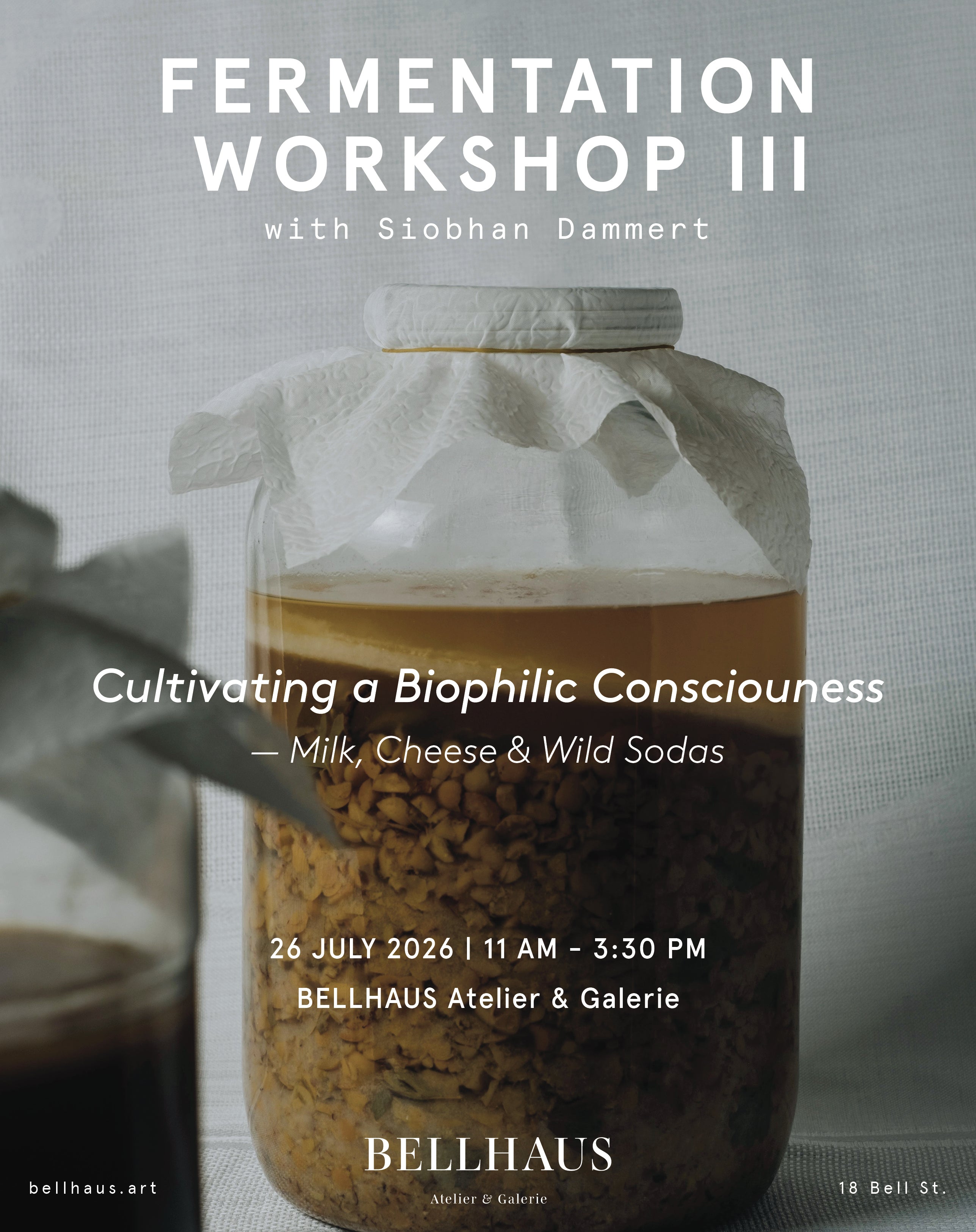 Fermentation Workshop III with Siobhan Dammert