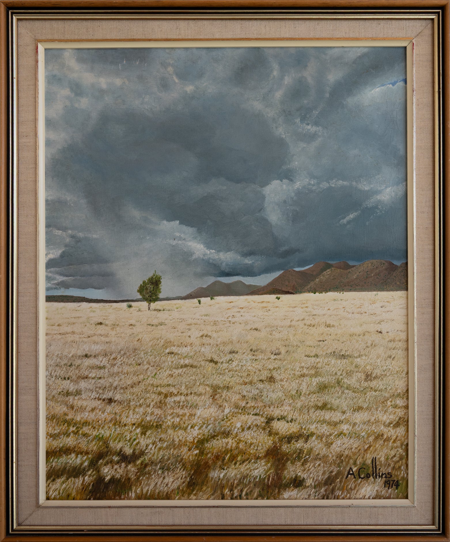 Landscape - Anne Collins