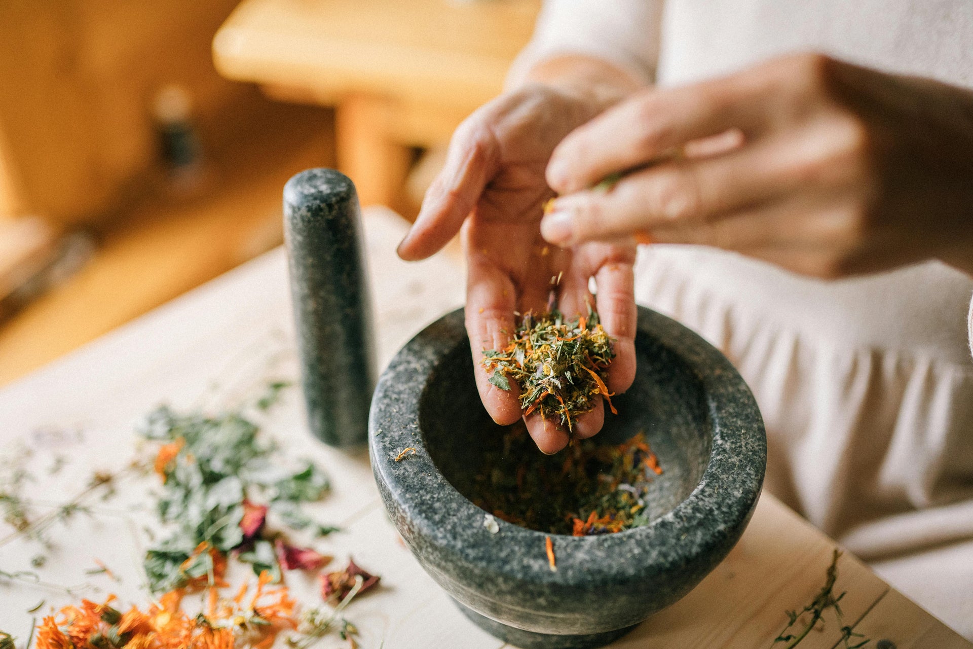 Medicine of the Wild -  A Sacred Botanical Workshop