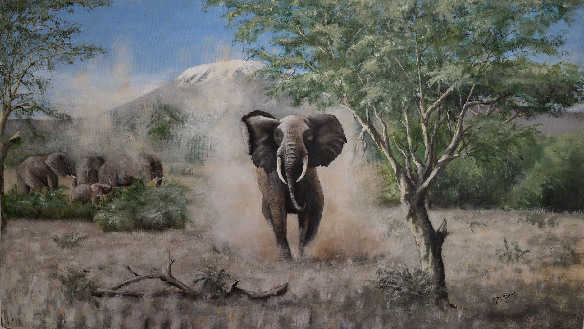 Elephants Tanzania - P Bruce