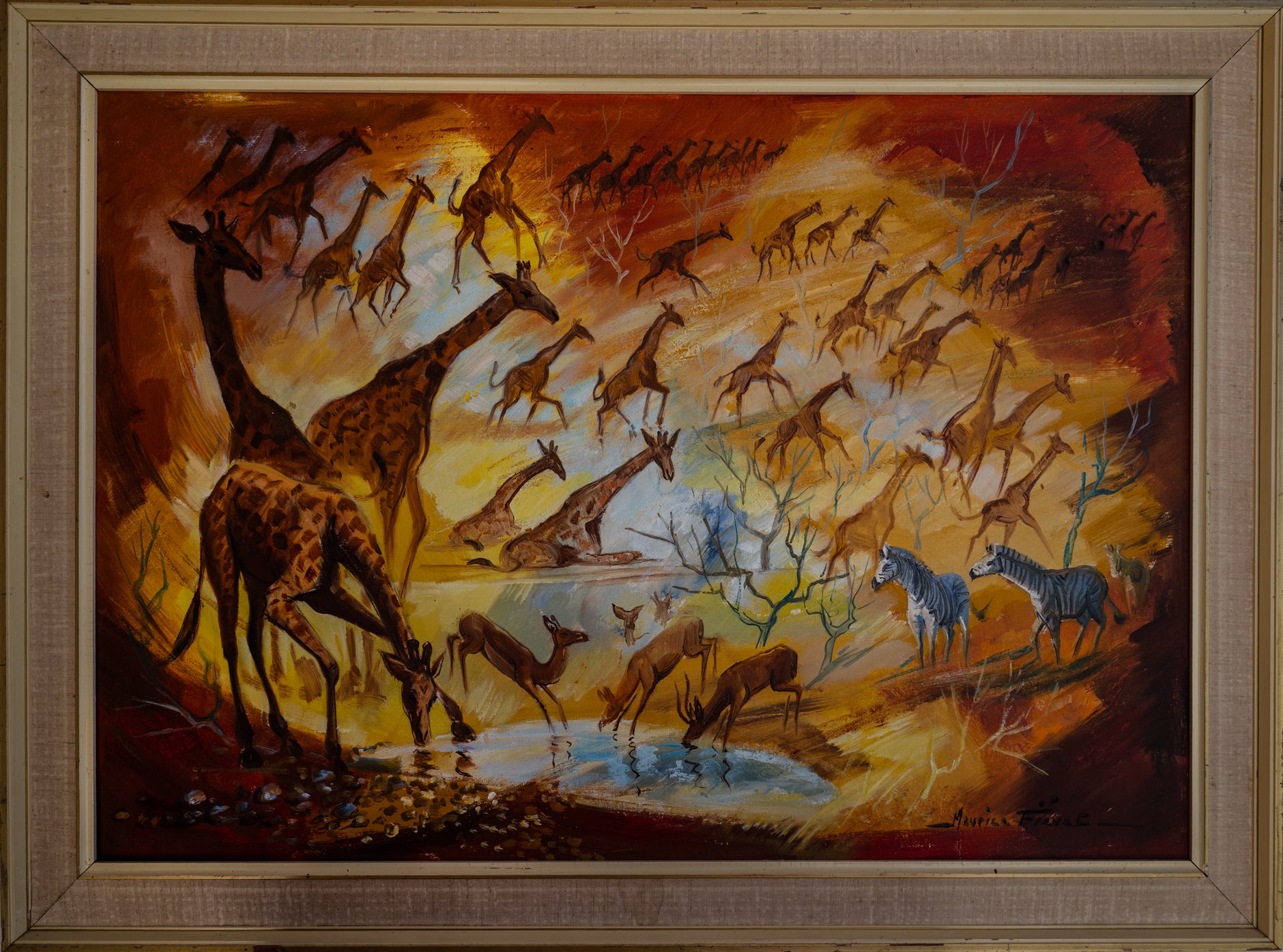 Impala - Maurice Fiévet