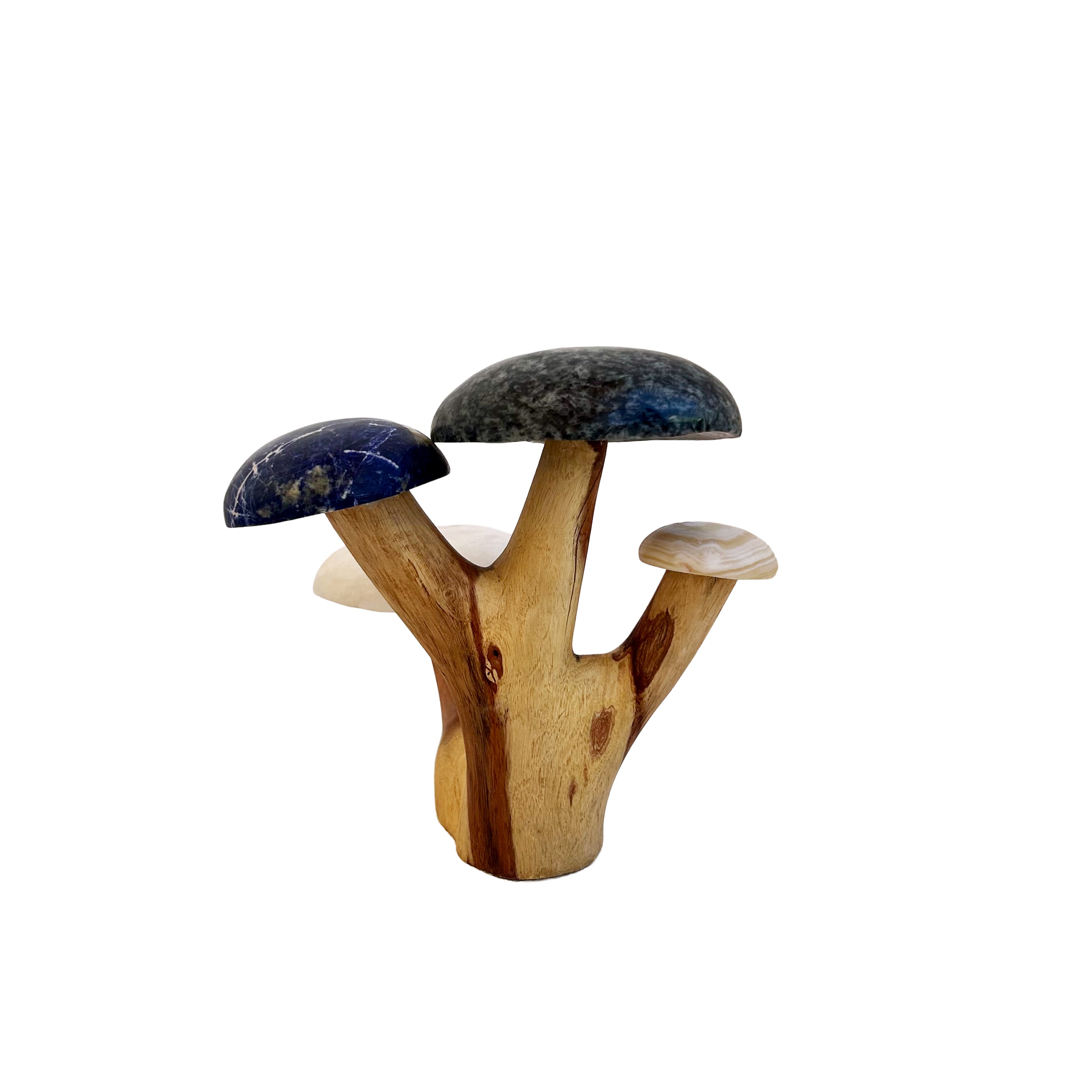 Mushroom Sculpture - William Chindoko