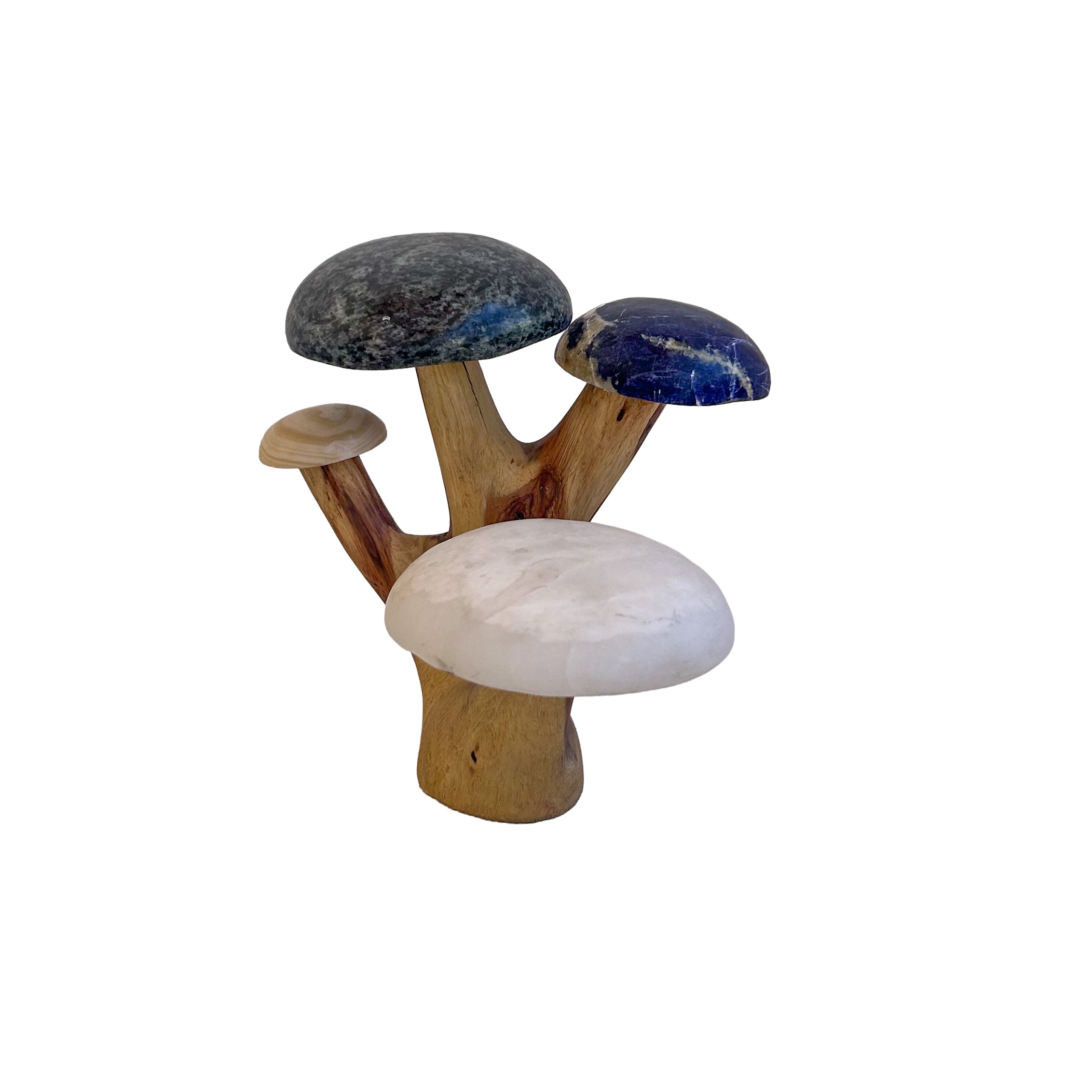 Mushroom Sculpture - William Chindoko