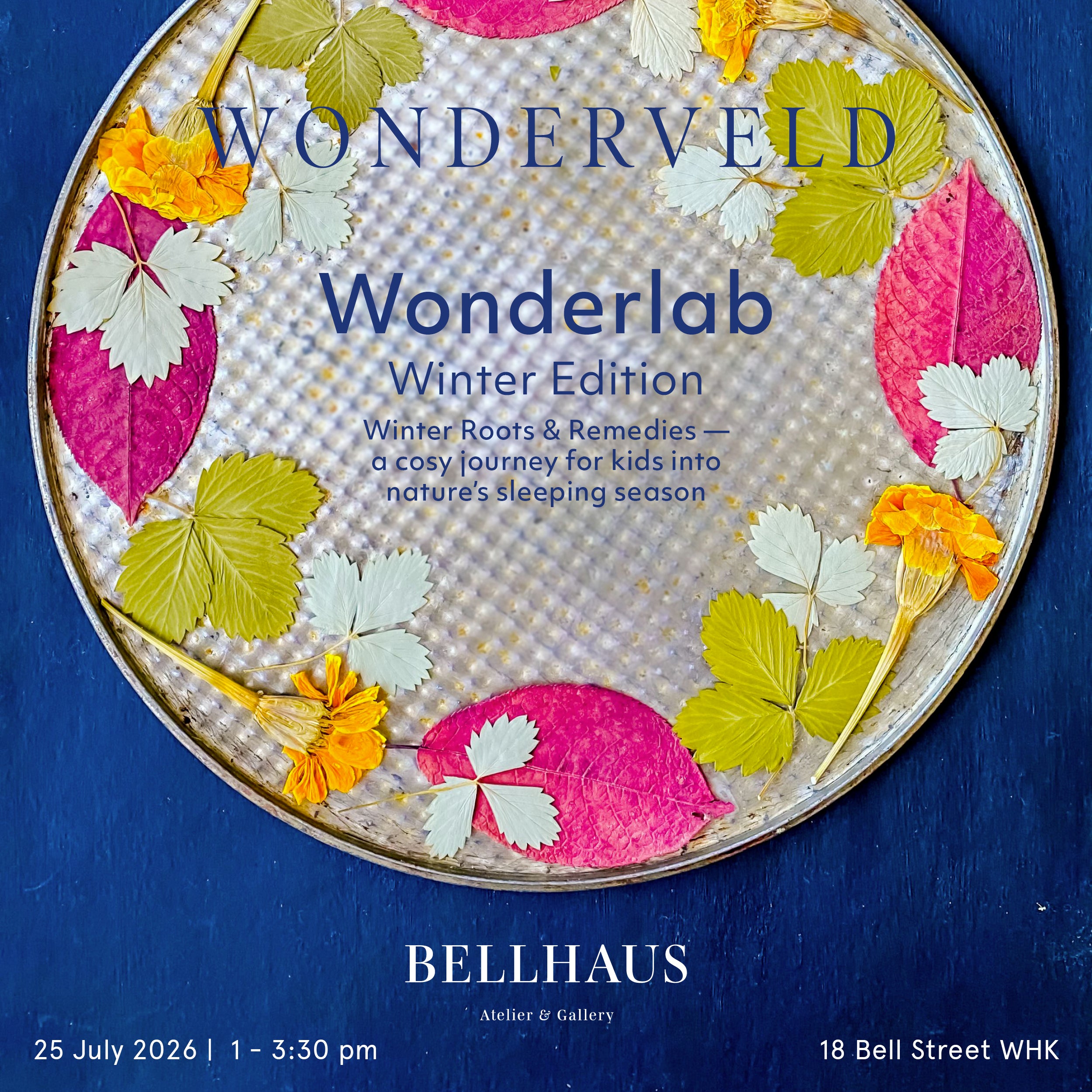 WONDERVELD Wonderlab: Winter Edition