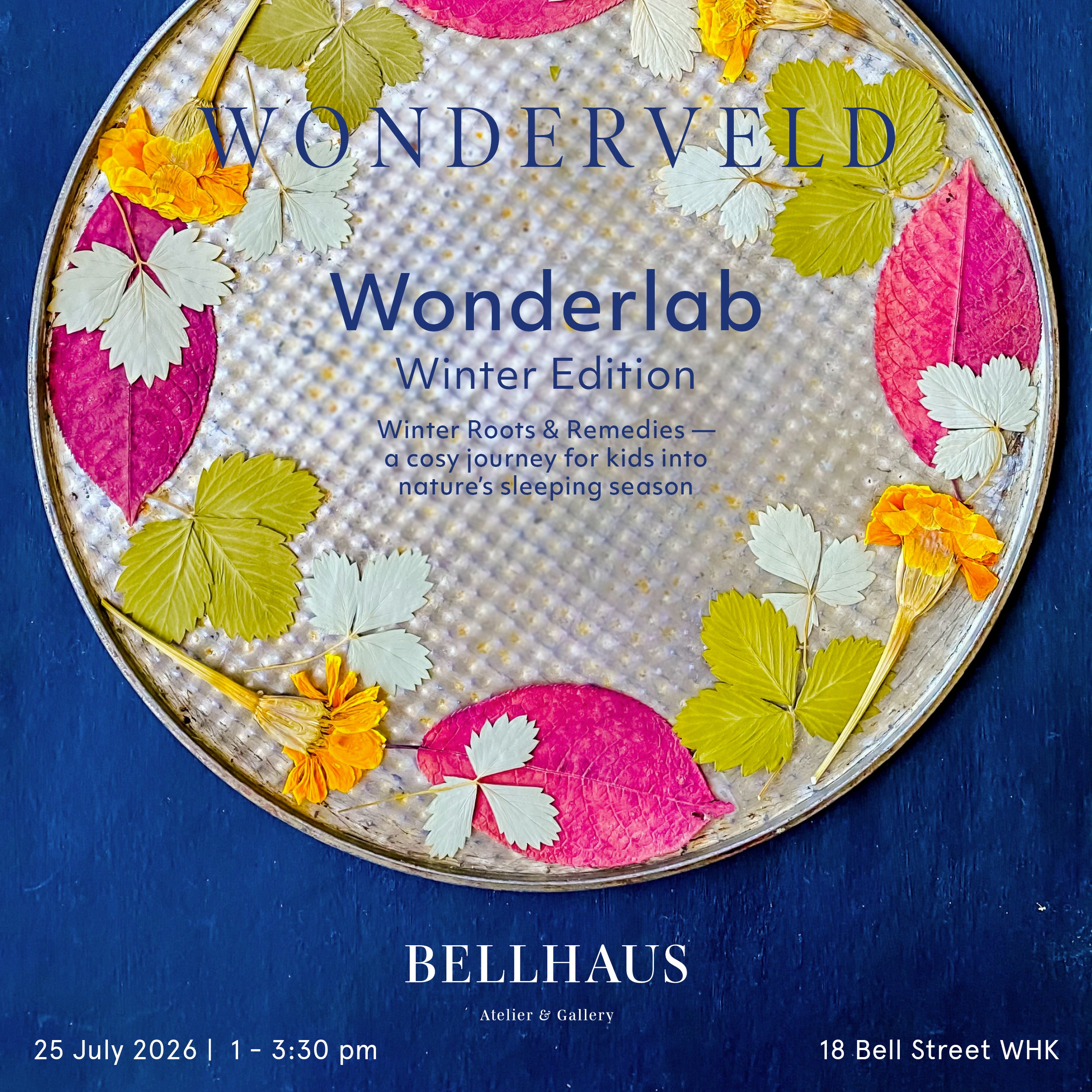 WONDERVELD Wonderlab: Winter Edition