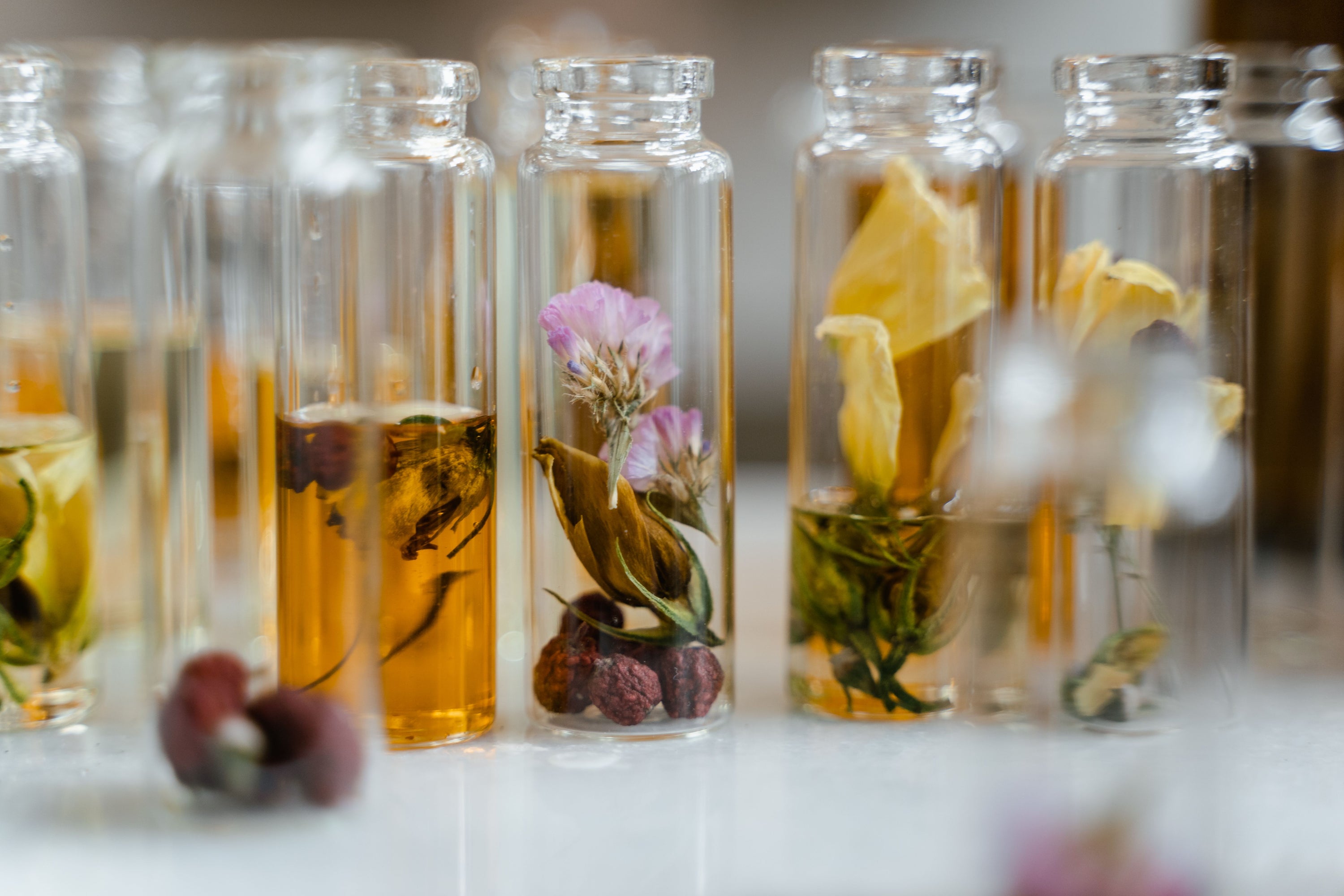 A portrait in scent - Workshop