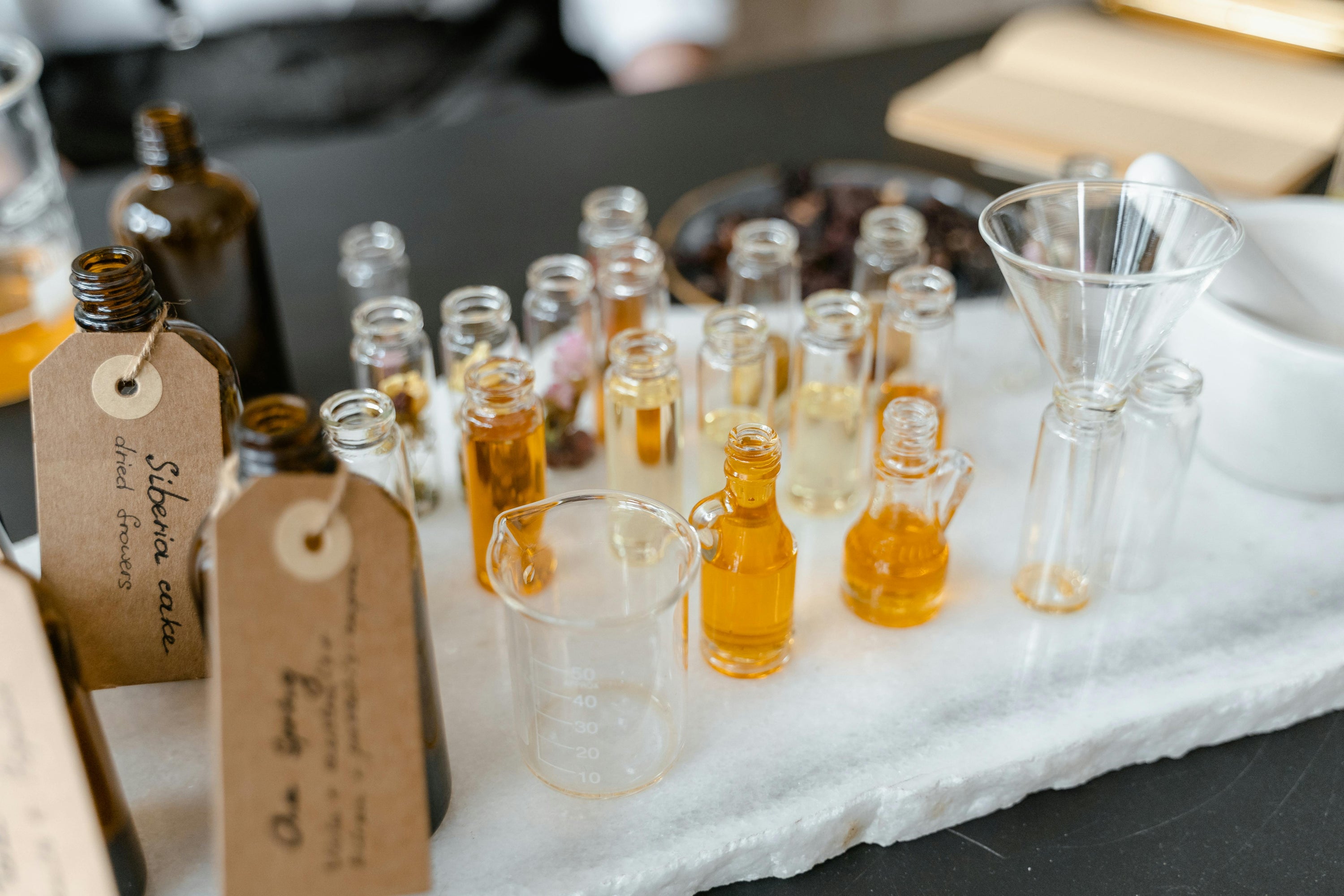Botanical Workshop II for Kids: A Journey into the Magical World of Herbs &amp; Flowers